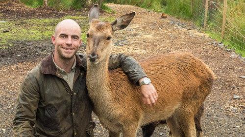 Return of the Wild: The Bearman of Buncrana Season 1 Episode 2 - Episode 2