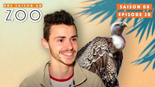 Une saison au zoo Season 8 Episode 20 - Episode 20