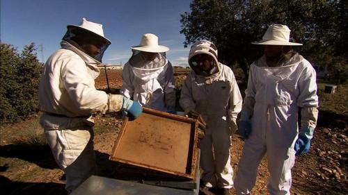 Cocina2 Season 1 Episode 4 - Episode 4