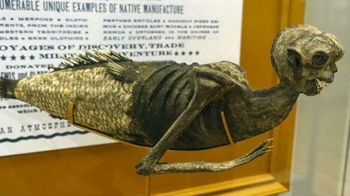 Strange Evidence Season 8 Episode 6 - Japanese Mermaid Mystery