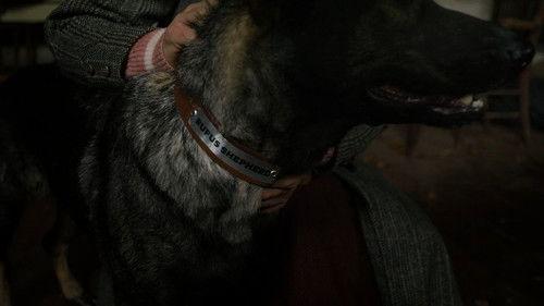 When Hope Calls Season 2 Episode 7 - Bringing to Light