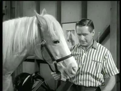 Mister Ed Season 5 Episode 13 - Never Ride Horses