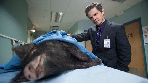 The Night Shift Season 1 Episode 3 - Hog Wild