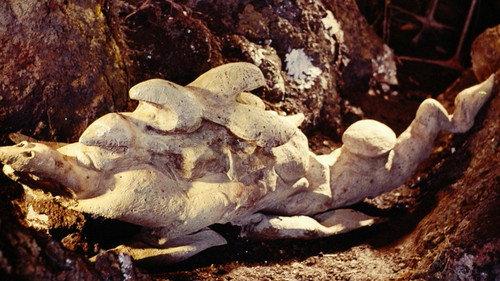 Ultraseven Season 1 Episode 16 - The Eye That Shines in the Darkness