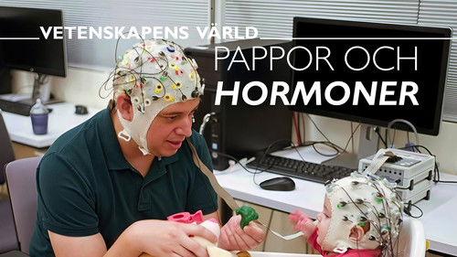 Vetenskapens värld Season 51 Episode 22 - Episode 22