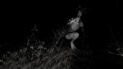 Background image for The Demonic Goatman's Bridge