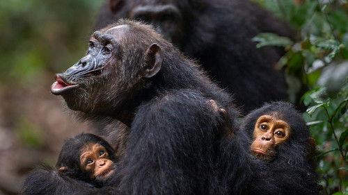 Background image for Communicators