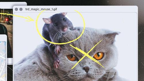 Kings of Scam Season 1 Episode 3 - Cat and Mouse
