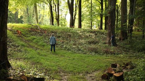 The Last Wright: Building the Final Home Design of America's Greatest Architect Season 1 Episode 1 - Build of a Lifetime