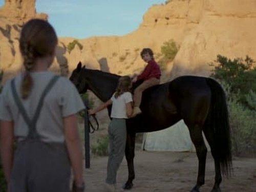 undefined Season 1 Episode 4 - Life Lessons