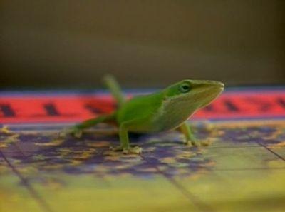 The Adventures of Pete & Pete Season 2 Episode 4 - The Big Quiet