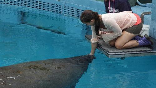 Anna und die wilden Tiere Season 1 Episode 11 - Episode 11