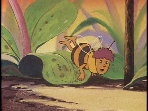 Maya the Bee Season 2 Episode 19 - Hooray for Soccer