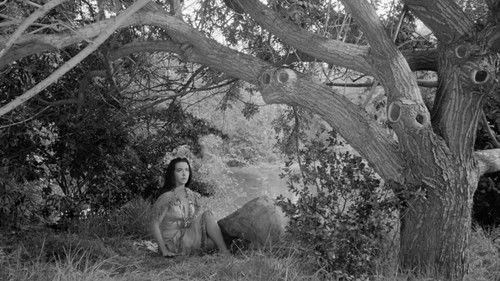 The Alaskans Season 1 Episode 33 - Calico