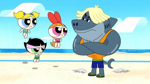 The Powerpuff Girls Season 2 Episode 9 - Summer Bummer