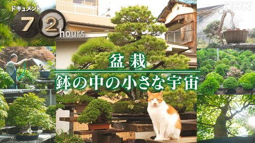 Document 72 Hours Season 16 Episode 18 - Bonsai A small universe in a pot