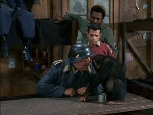 Hogan's Heroes Season 3 Episode 29 - Monkey Business
