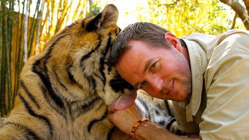 Tigers About the House Season 2 Episode 2 - Episode 2