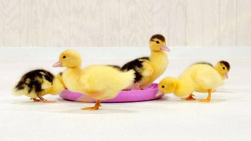 Background image for Episode 2