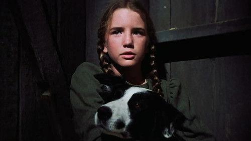 Little House on the Prairie Season 4 Episode 5 - The Wolves