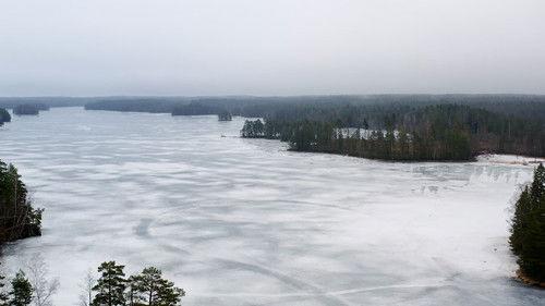 Svenska fall Season 12 Episode 3 - Episode 3