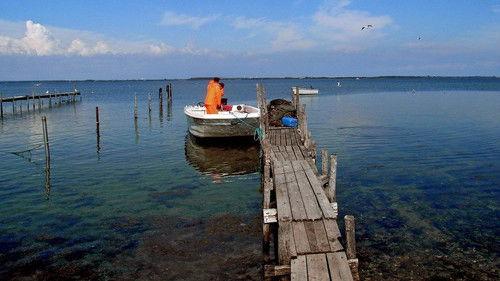 mare TV Season 8 Episode 4 - Episode 4