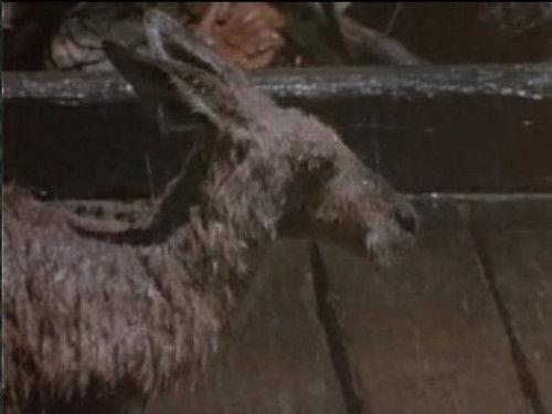 Skippy the Bush Kangaroo Season 2 Episode 31 - Hi Fi