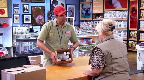 The Carbonaro Effect Season 5 Episode 2 - Moving Dragon