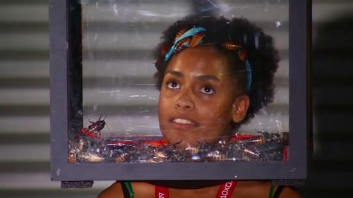 The Tester Season 3 Episode 1 - Bug Out