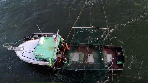 Wisconsin Foodie Season 9 Episode 6 - Door County Underground | Hidden Acres Farm