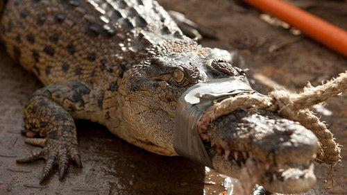 Croc College Season 1 Episode 2 - Episode 2