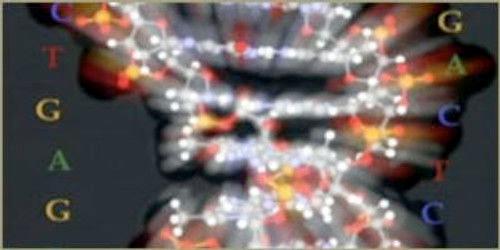 NOVA Season 28 Episode 16 - Cracking the Code of Life