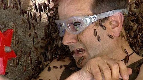 I'm a Celebrity...Get Me Out of Here! Season 8 Episode 7 - Critter Chaos