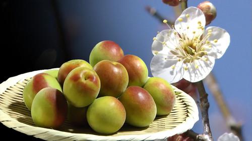 Background image for Ume