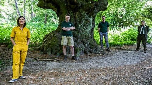 Countryfile Season 33 Episode 25 - Epping Forest