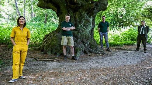 Countryfile Season 33 Episode 25 - Epping Forest
