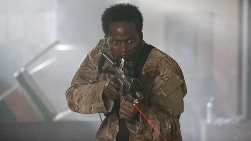 Background image for Puppies and Kittens