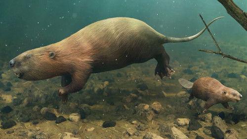 Eons Season 5 Episode 1 - What Happened to the World's Biggest Beaver?