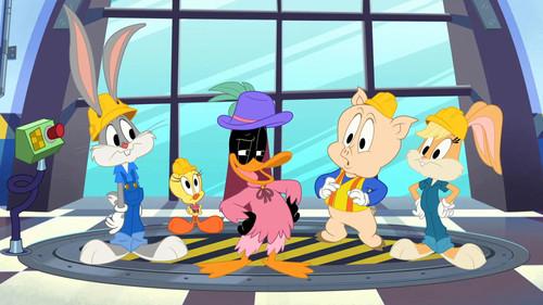 Bugs Bunny Builders Season 1 Episode 36 - Catwalk
