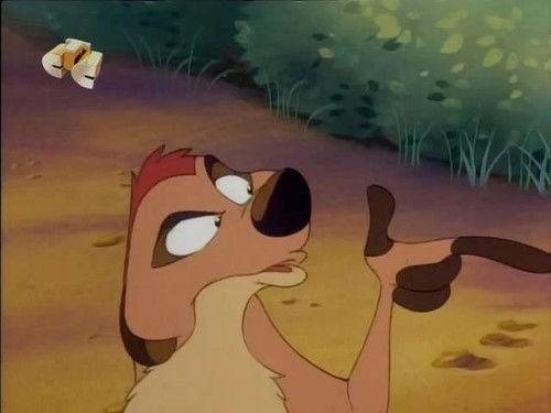 Timon and Pumbaa Season 1 Episode 24 - Rafiki Fables: The Sky Is Calling