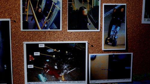 Svenska fall Season 15 Episode 3 - Episode 3