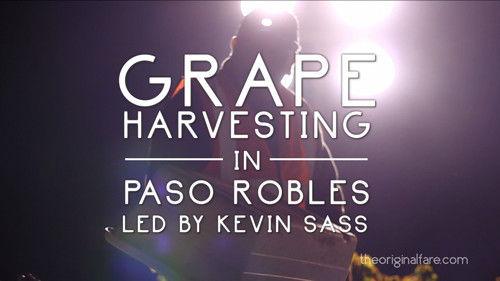 Original Fare Season 1 Episode 10 - Grape Harvesting in Paso Robles