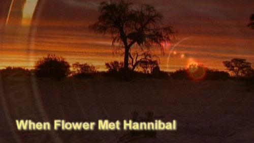 Meerkat Manor Season 2 Episode 6 - When Flower Met Hannibal