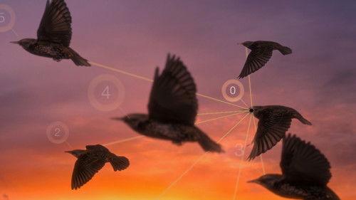 Life in the Air Season 1 Episode 3 - Crowded Skies