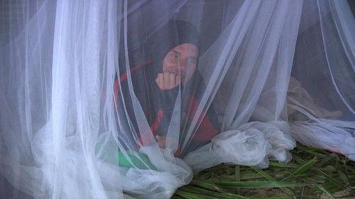 Background image for Episode 12