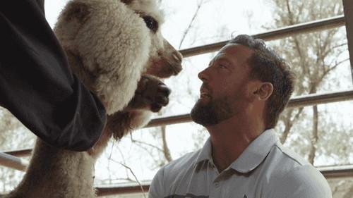 Background image for Debbie