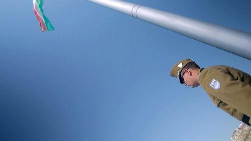 Argos TV - Medialogic Season 8 Episode 7 - Episode 7