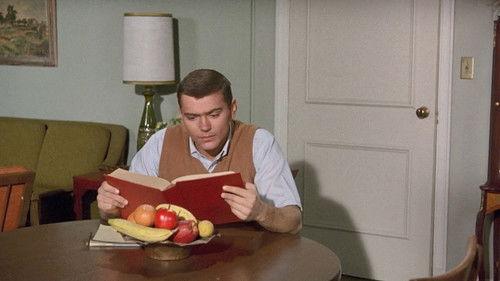 Gidget Season 1 Episode 28 - One More for the Road