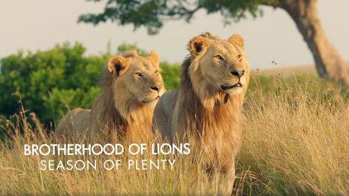 Brotherhood of Lions Season 1 Episode 2 - Season of Plenty