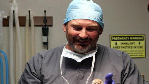 Heartland Docs, DVM Season 3 Episode 2 - You've Gotta Be Kitten Me!